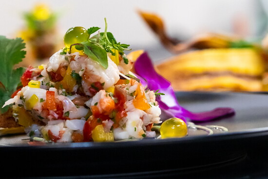 Dish by Green Zebra