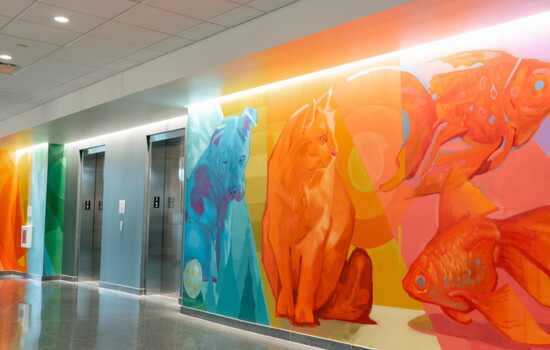 A mural created by Joshua Lawyer and MJ Lindo of Rough Edge Collective is featured in the new building through the Art in Public Places program.