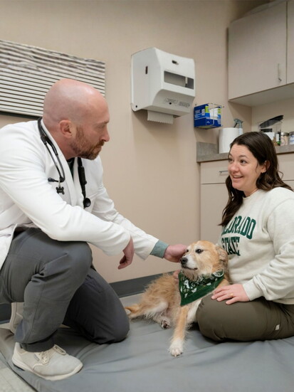 Dr. Andrew Ciccolini, Medical Director of Companion Animal Primary Care.