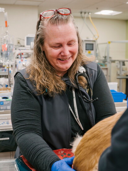 Dr. Kelly Hall, Small Animal Specialty Services Medical Director.