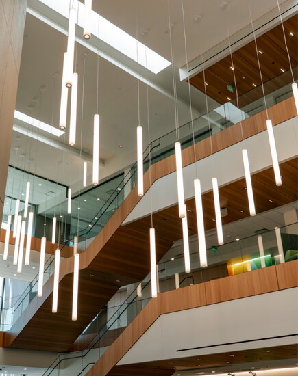 The atrium is filled with natural light and organic elements designed to promote well-being.