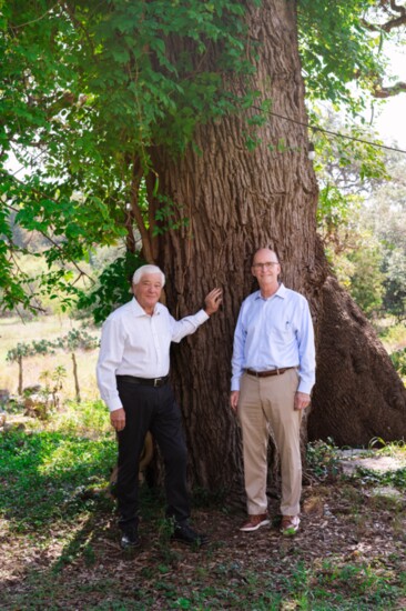 John Freud & Tom Mengler