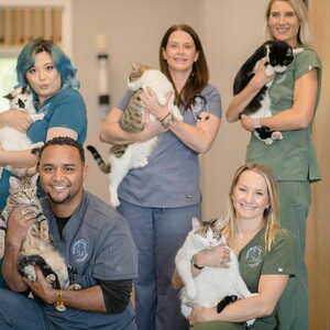 anna%20and%20staff%20with%20their%20kitties-300?v=1