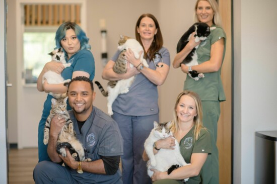 Dr. Daffara (middle) and Summerlin Cat Hospital Team 
