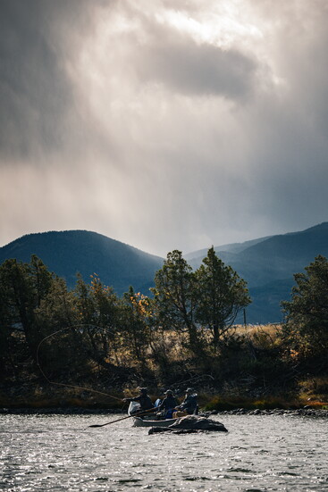 © STUDIO MACLEOD 2026