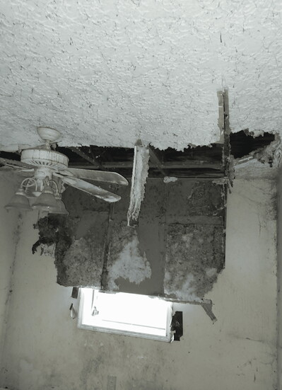 Mold Remediation 