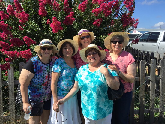 Fredericksburg, TX, 2015