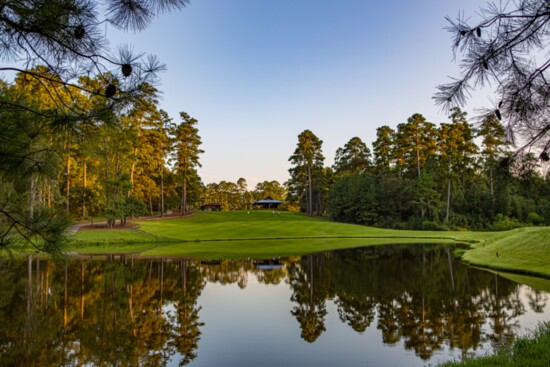 Serene and beautiful, Mother Nature is alive and well at BlueJack.
