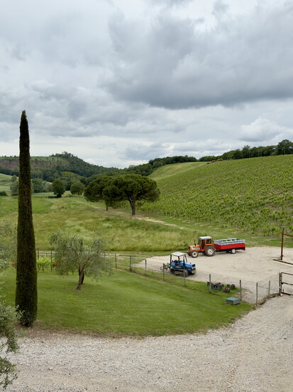 A Tuscan vineyard experience