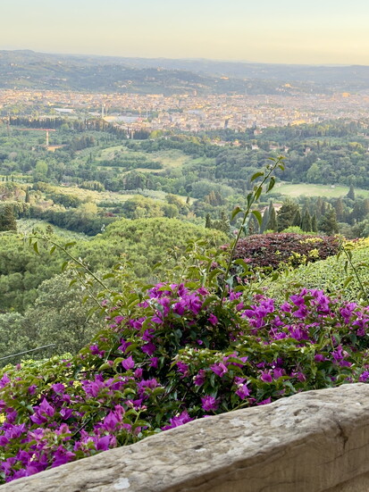 A countryside view overlooking Florence