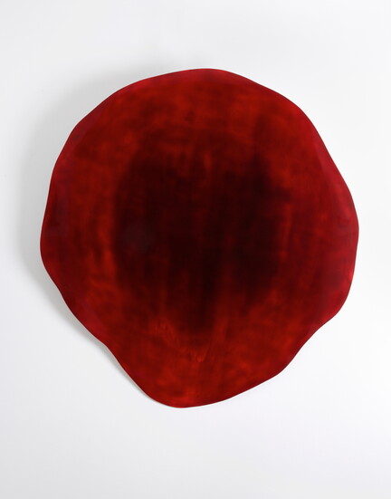 Hiroshi Kaneyasu, Unformed outline 24-1. Photo by Bertrand Michau. Courtesy of the Carl & Marilynn Thoma Foundation.