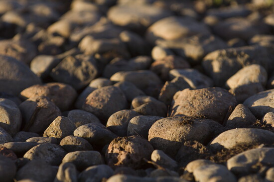 The galets roulés of The Rocks District