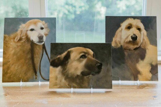 Just some of Wendy's pet portraits.