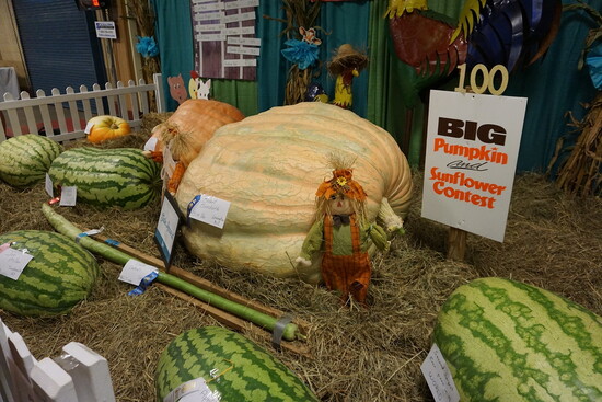 Prize-winning agricultural display, 2019 (KHP)