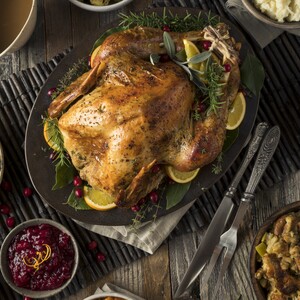 homemade-thanksgiving-turkey-dinner-pf8dew2-300?v=1