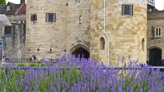 Entrance to the Tower