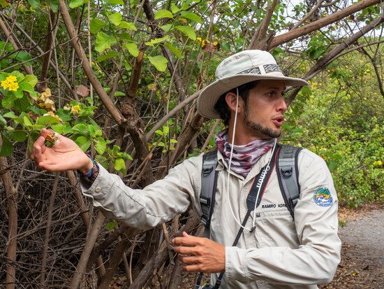 Lindblad Images Galapagos