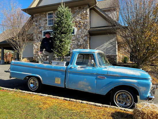 Father/daughter tree pickup