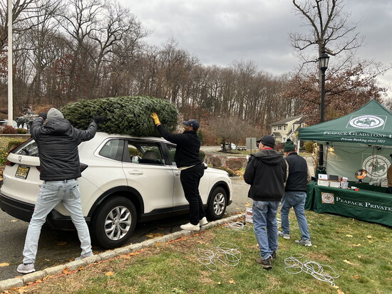 Volunteers helping buyers transport trees home