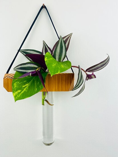 Undestructable Hanging Propagation Station - $30