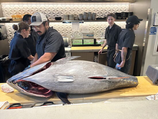 Culinary Team breaking down 40 lb tuna 