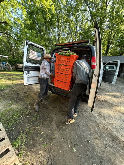 Packing up produce at Fernbrook Farms in Chesterfield, NJ
