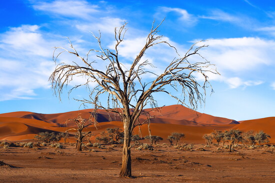 Africa