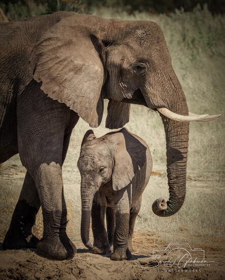 Africa