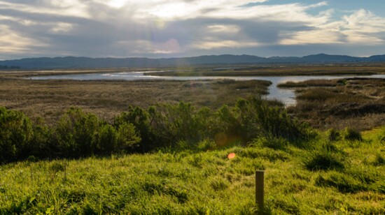 Rush Ranch and the Suisun Marsh are must-see destinations for anyone traveling to Fairfield.  