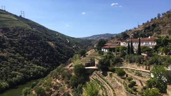 Quinta Panascal