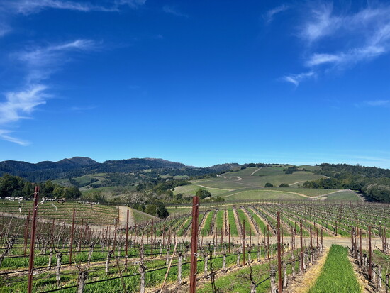 Napa