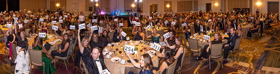 Attendees raise paddles to donate during the 50th Anniversary Gala, inspired by a moving mother-daughter healing story.