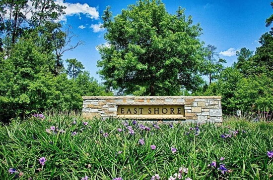 East Shore. Photo Credit: Romy Bee.