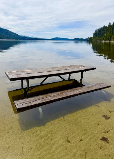 This picnic bench also wanted to be in the water at North Beach. 