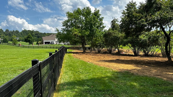 Veterans LLC's Dave Andersen says grooming land can restore its usefulness and add to property value. Photo: Courtesy of Dave Andersen