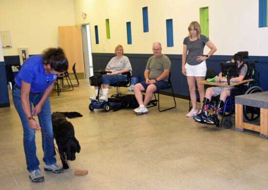 Therapy dogs help their human partners with essential activities, such as picking up wallets and opening refrigerators. Photo by Julie Brown Patton