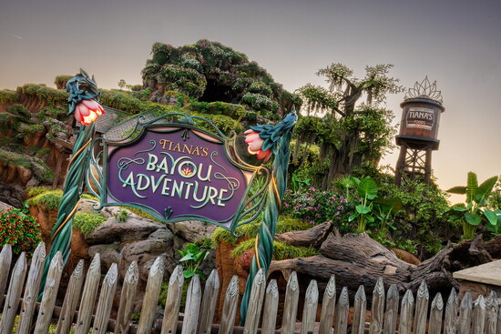 Tiana's Bayou Adventure