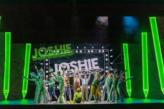 Diary of a Wimpy Kid The Musical