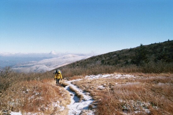 Snow near Roan Mountain