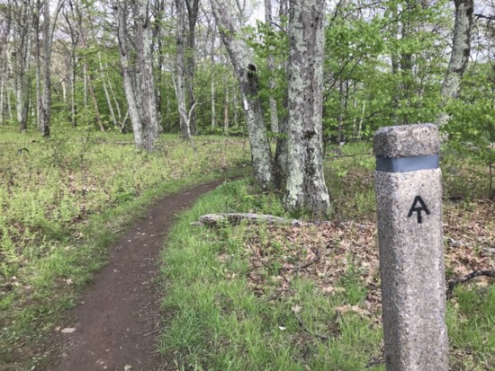 In Shenandoah National Park, the trail is often marked using stone pillars