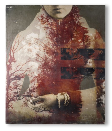 Lisa Franke, "Red Roots" encaustic photography on panel