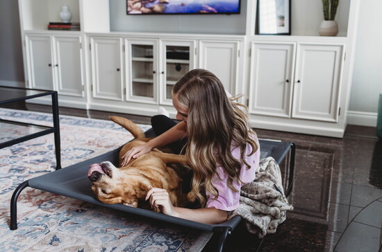 Junie is comfortable in her usual sleeping spot and gets the added bonus of cuddles from Taryn.