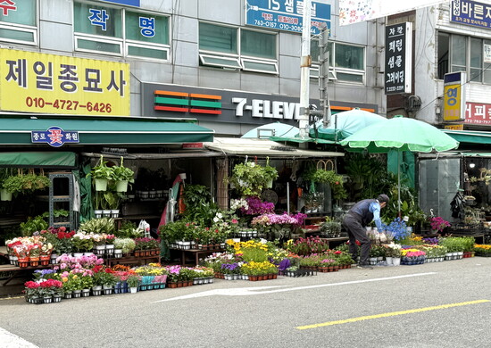 A flower vendor readies for the workday on Jong-ro in Dongdaenum.