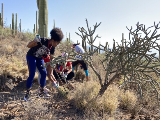 College students digging deep to protect our desert