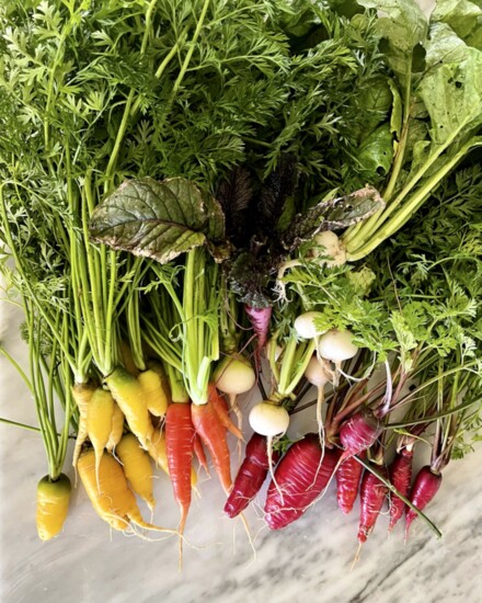 A rainbow of gorgeous veggies grown by Ash