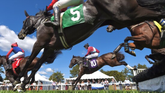 Races aren't always the only competition at steeplechase meets. Many also offer tailgate competitions. Credit: Douglas Lees