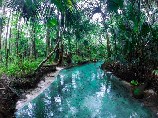 The springs around Crystal River are cool and inviting. (Photo credit: Melissa Mederos/Discover Crystal River Florida)