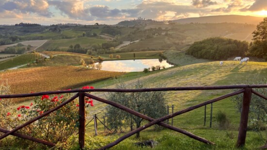 The view from the farm in Tuscany. 
