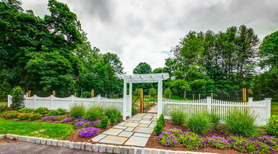 Organic Garden 