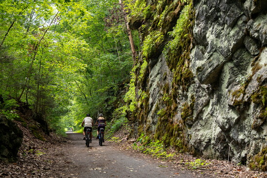People biking on the Virginia Creeper Trail. Photo courtesy of Town of Damascus.